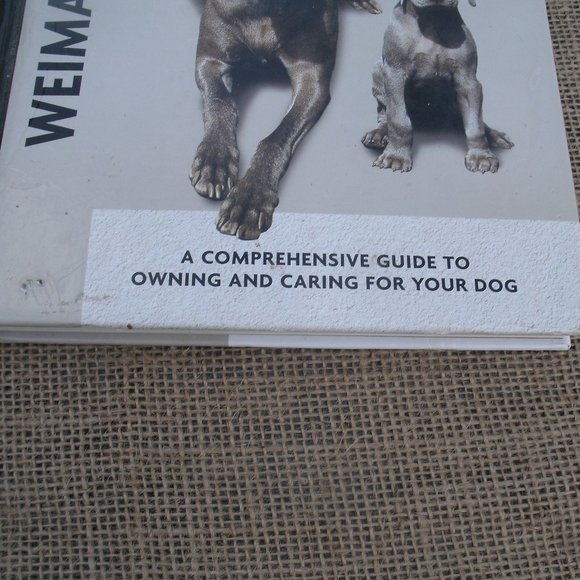 Weimaraner A Comprehensive Guide Dog Book - Picture 3 of 16